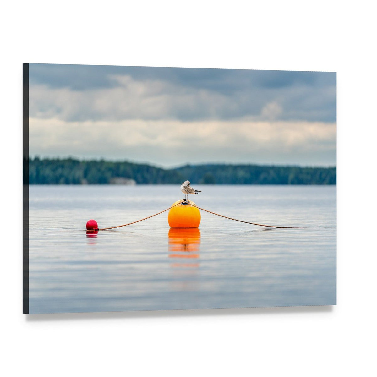 Seagull on Orange Buoy Canvas Wall Art, single panel gallery wrapped canvas, angled product view