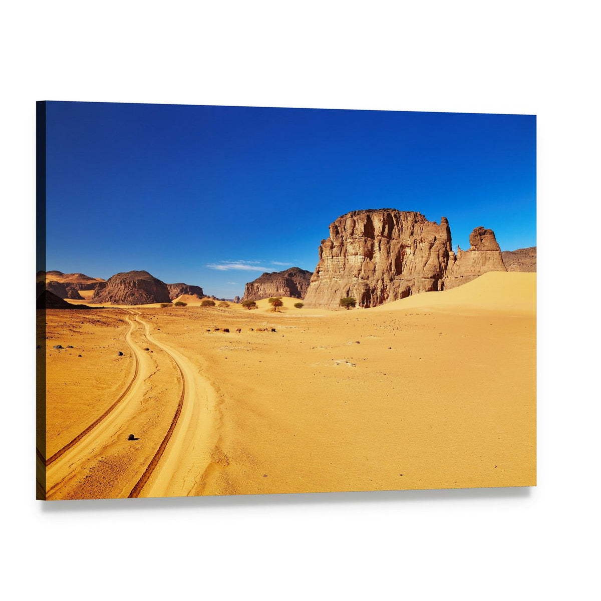 Tire-tracked Desert Road and Rock Formations Canvas Wall Art, single panel gallery wrapped canvas, angled product view