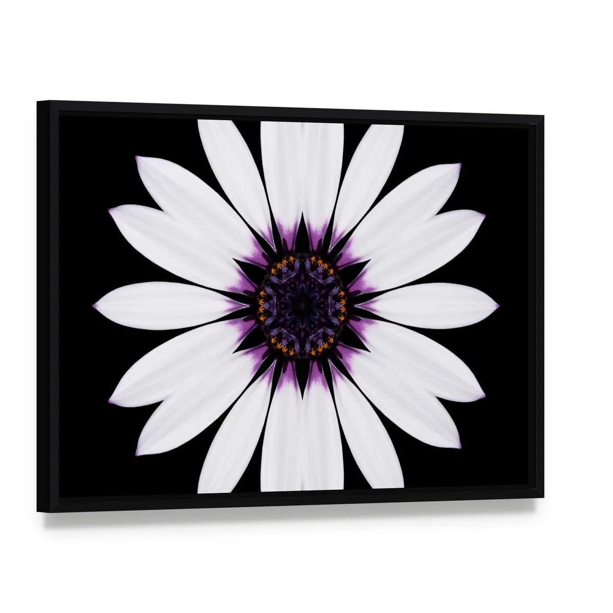 White Flower Mandala Canvas Wall Art0, framed canvas in a black floater frame, angled product view