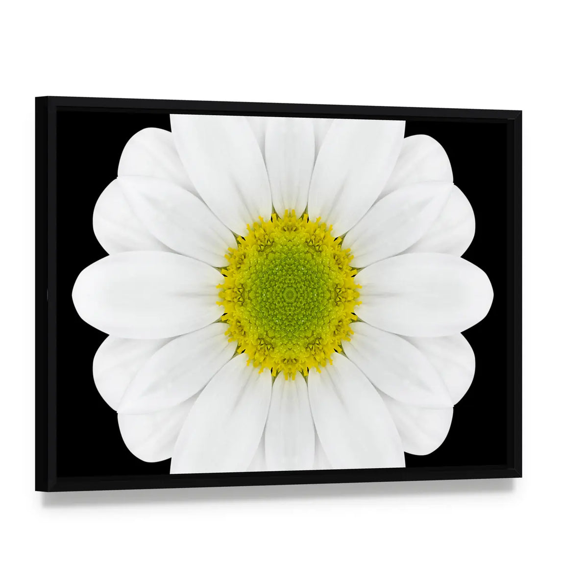 Close Up Of White Flower Mandala Canvas Wall Art, framed canvas in a black floater frame, angled product view