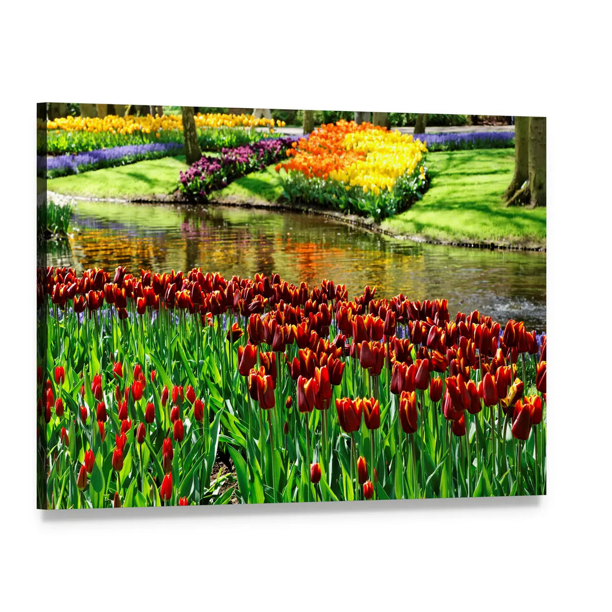 Colorful Keukenhof Tulip Garden Canvas Wall Art, single panel gallery wrapped canvas, angled product view