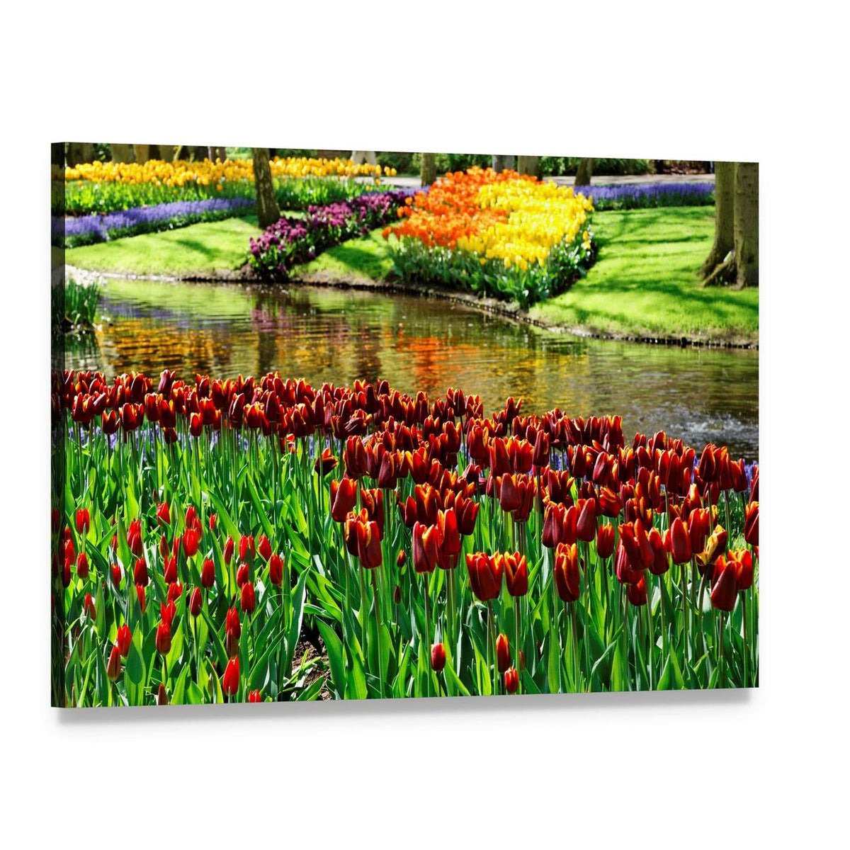 Vibrant Tulips in Keukenhof Garden Canvas Wall Art, single panel gallery wrapped canvas, angled product view