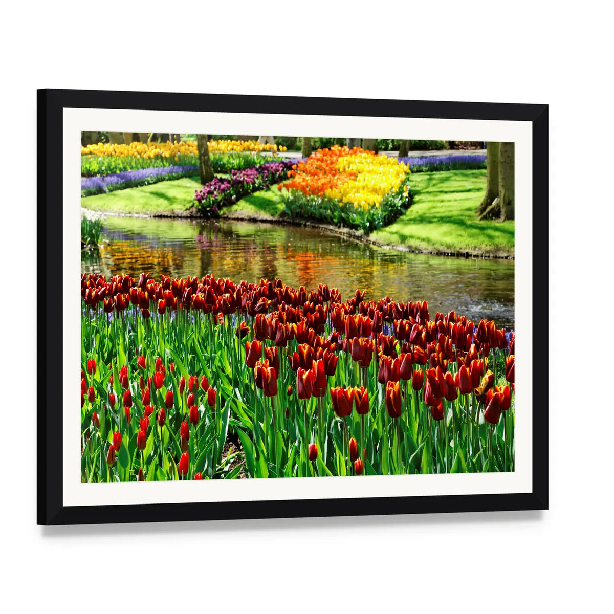 Colorful Keukenhof Tulip Garden Canvas Wall Art, framed print with white mat and black frame, angled product view
