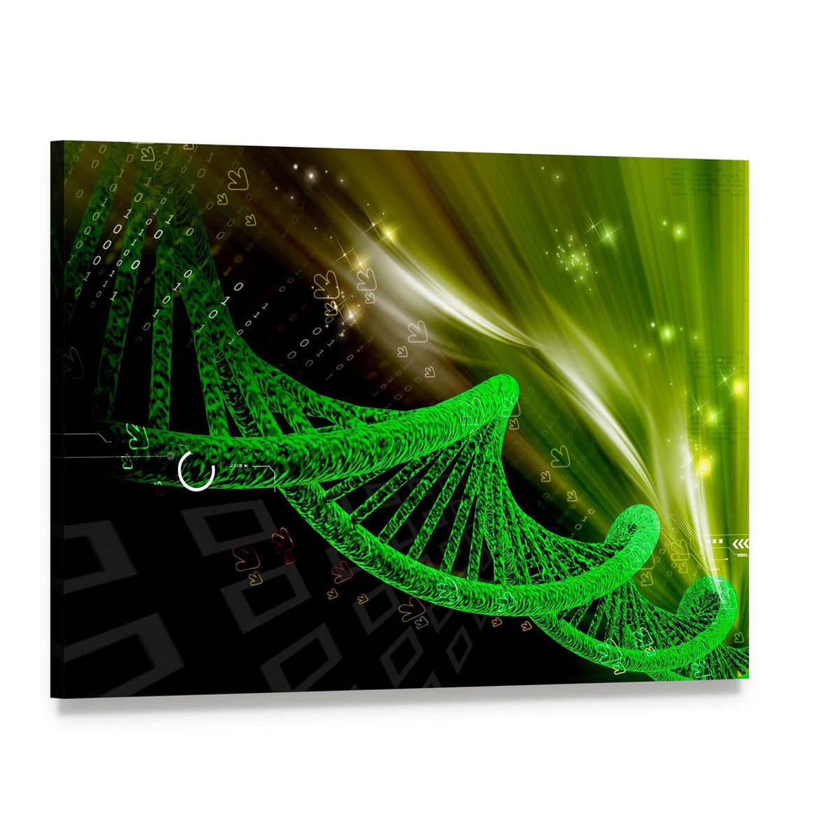 Glowing Green Dna Helix with Binary Code Canvas Wall Art, single panel gallery wrapped canvas, angled product view