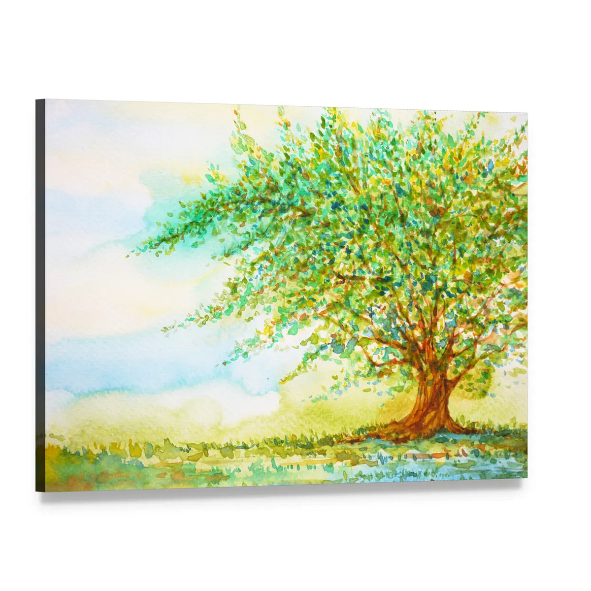 Large Tree in Grassy Meadow Canvas Wall Art, single panel gallery wrapped canvas, angled product view