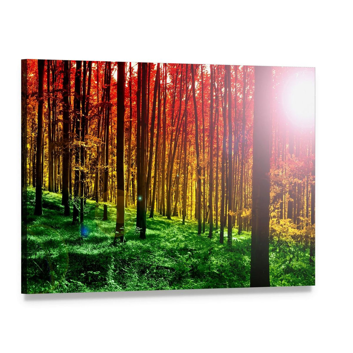 Mystical Forest with Sun Rays Canvas Wall Art, single panel gallery wrapped canvas, angled product view