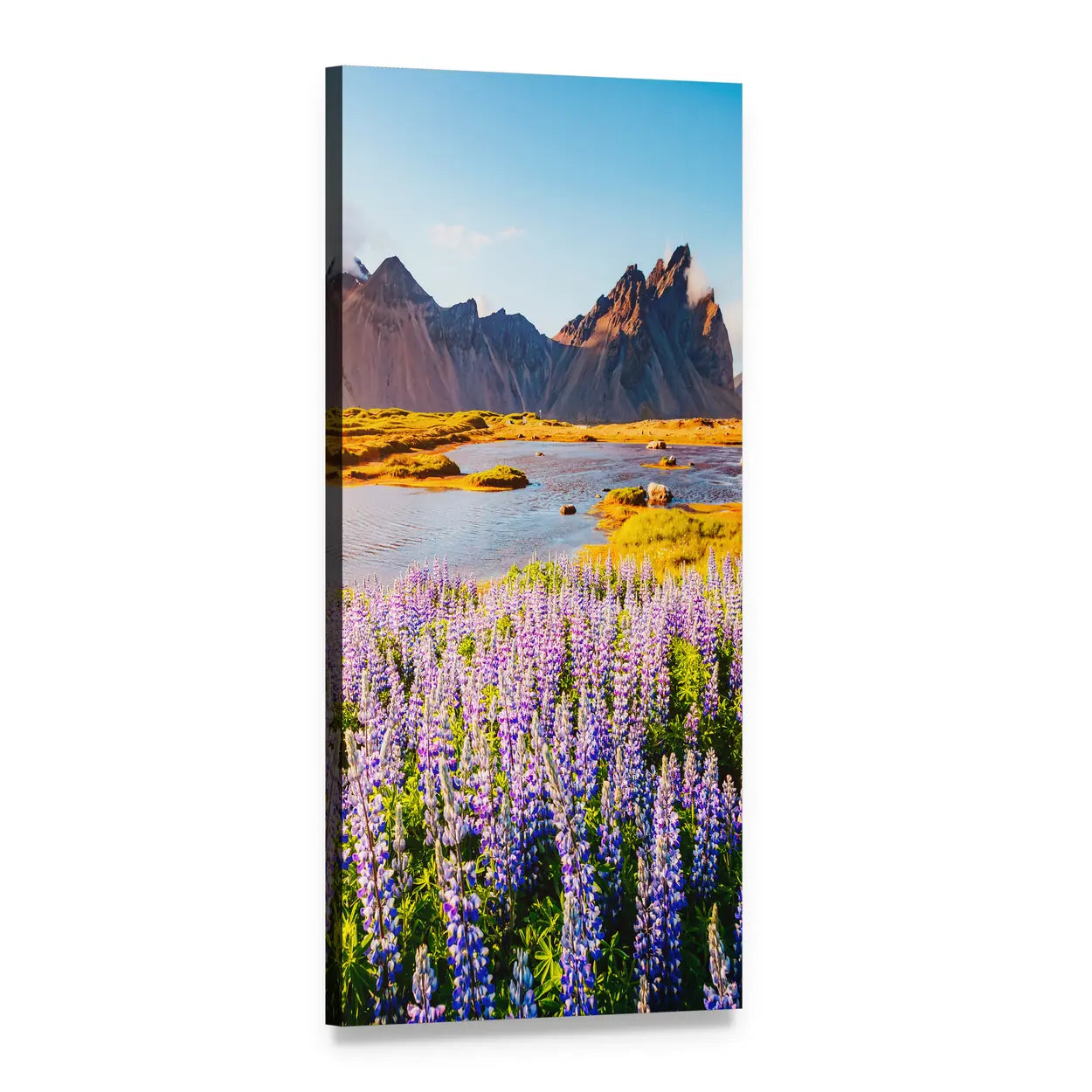 Majestic Lupine Flowers Vertical Canvas Wall Art, 1 panel 1 Vertical layout gallery wrapped canvas set, angled product view