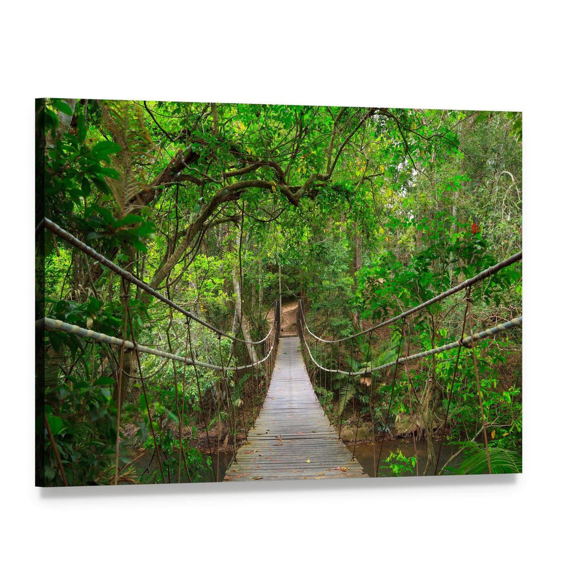 Bridge to the Jungle Canvas Wall Art, single panel gallery wrapped canvas, angled product view