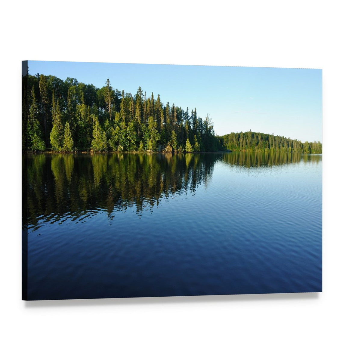 Reflections on a Coniferous Forest Lake Canvas Wall Art, single panel gallery wrapped canvas, angled product view