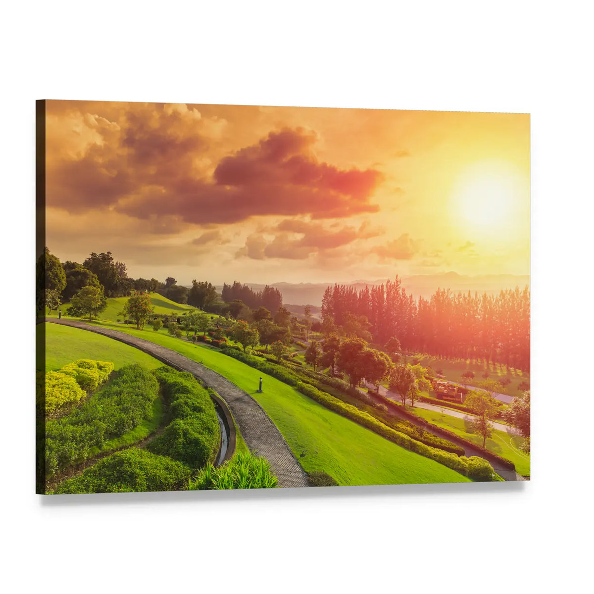 Green Park at Sunset with Winding Path Canvas Wall Art, single panel gallery wrapped canvas, angled product view