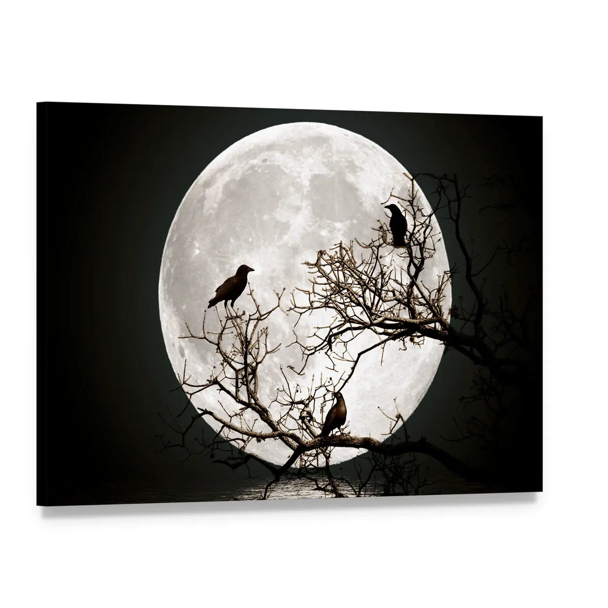 Ravens on Silhouetted Tree Under Full Moon Canvas Wall Art, single panel gallery wrapped canvas, angled product view
