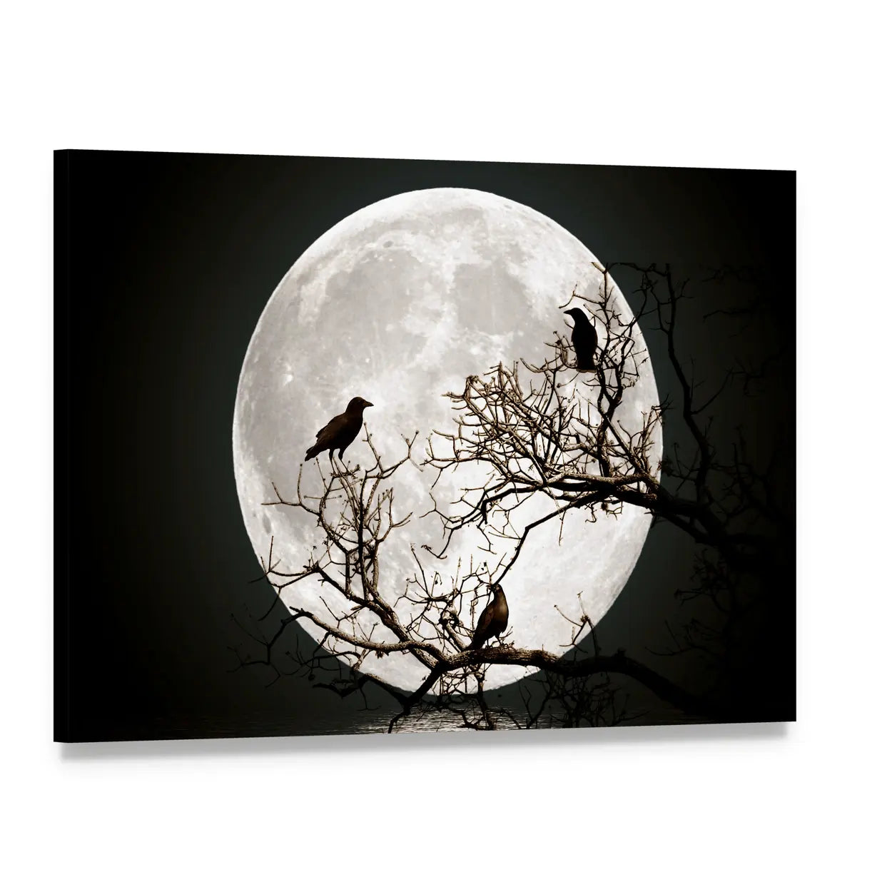 Ravens on a Tree Under the Full Moon Canvas Wall Art, single panel gallery wrapped canvas, angled product view