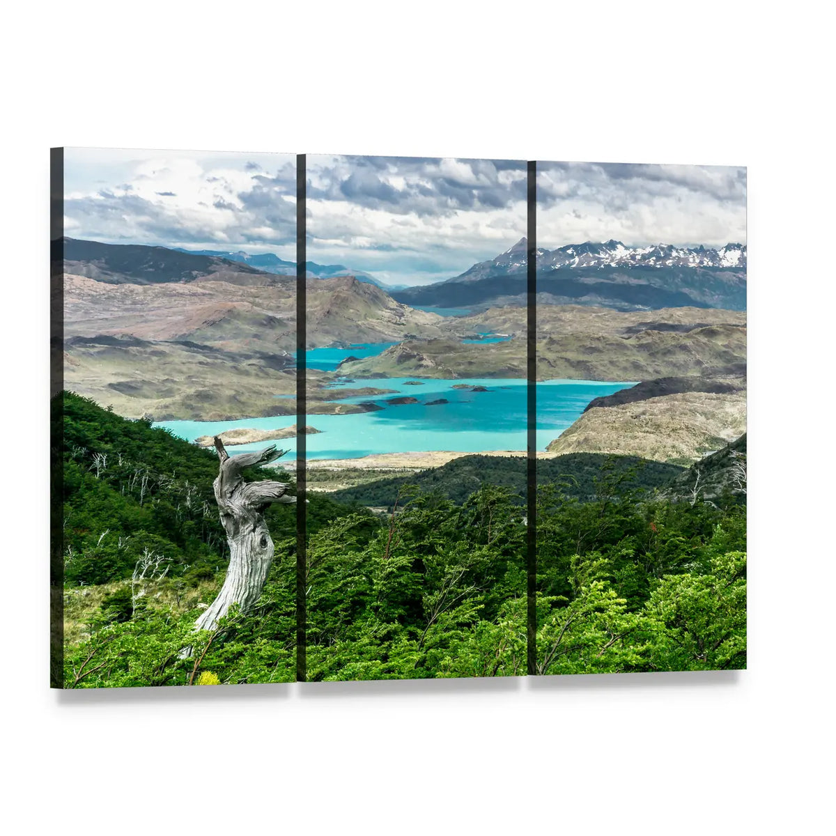 Gnarled Tree by Turquoise Mountain Lake Canvas Wall Art, 3 panel 3 Horizontal layout gallery wrapped canvas set, angled product view