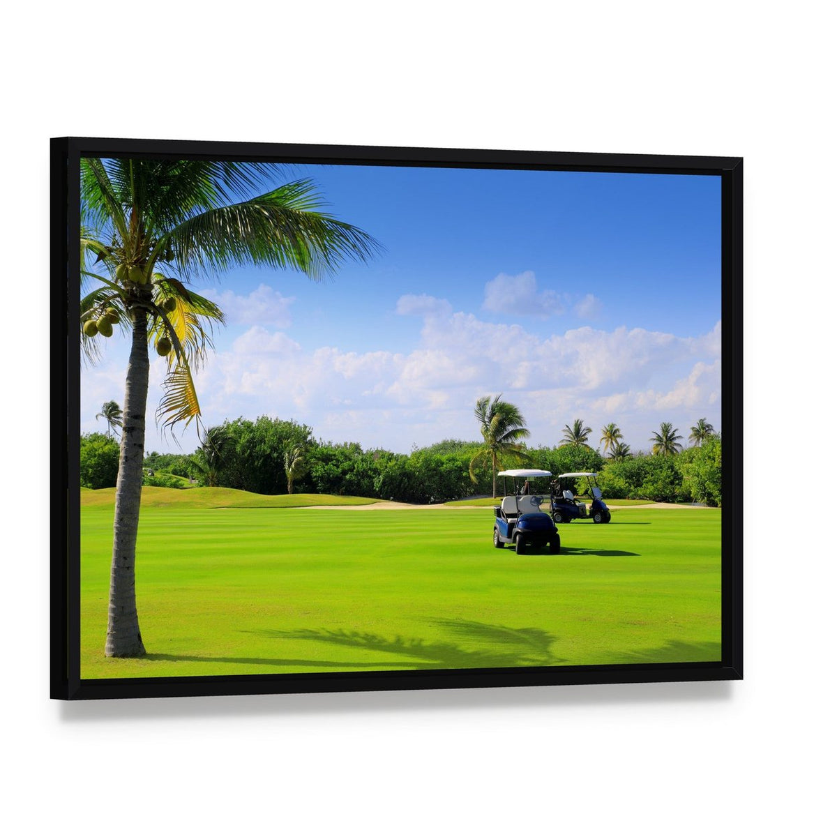 Golf Course in Mexico Canvas Wall Art, framed canvas in a black floater frame, angled product view