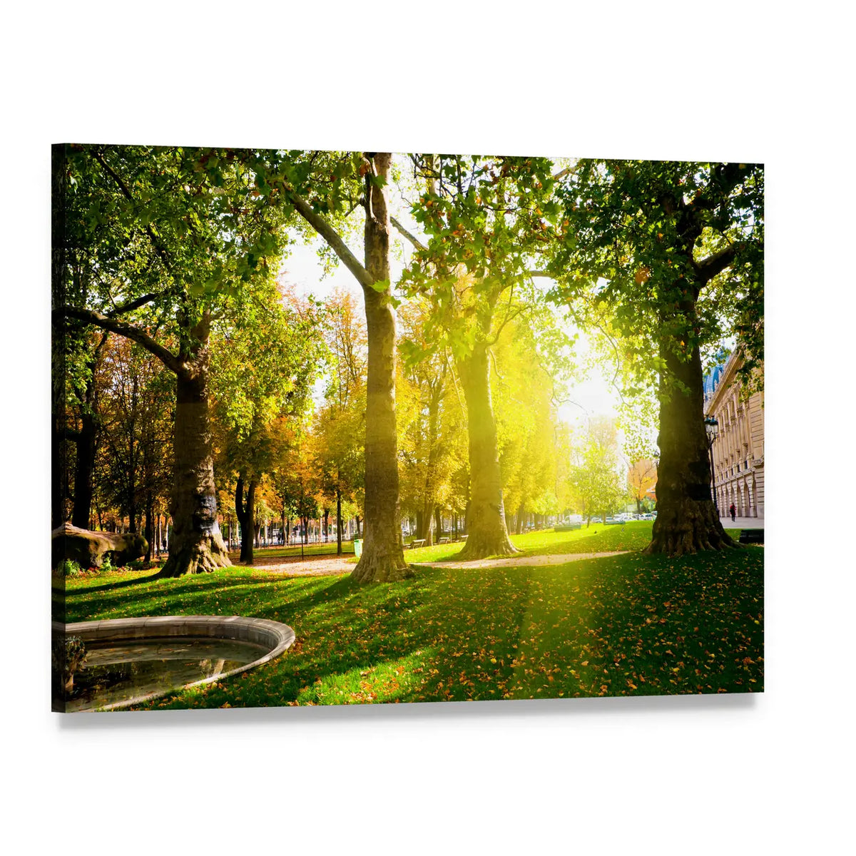 Sun Rays in Green Park Canvas Wall Art, single panel gallery wrapped canvas, angled product view