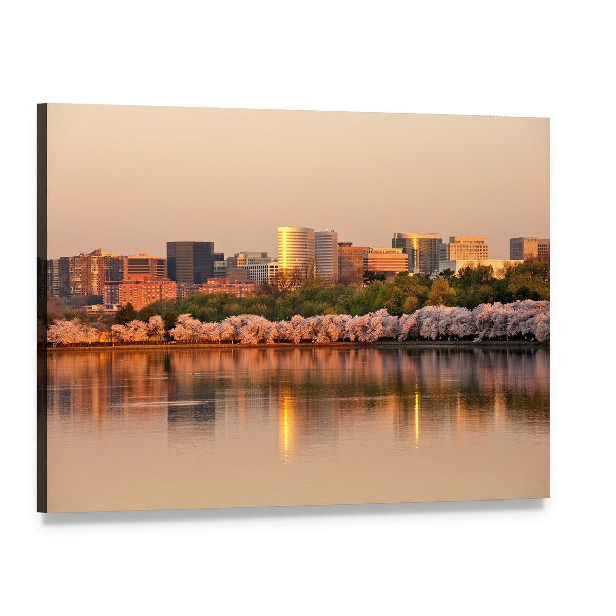 Rosslyn Skyscrapers at Golden Hour Canvas Wall Art, single panel gallery wrapped canvas, angled product view