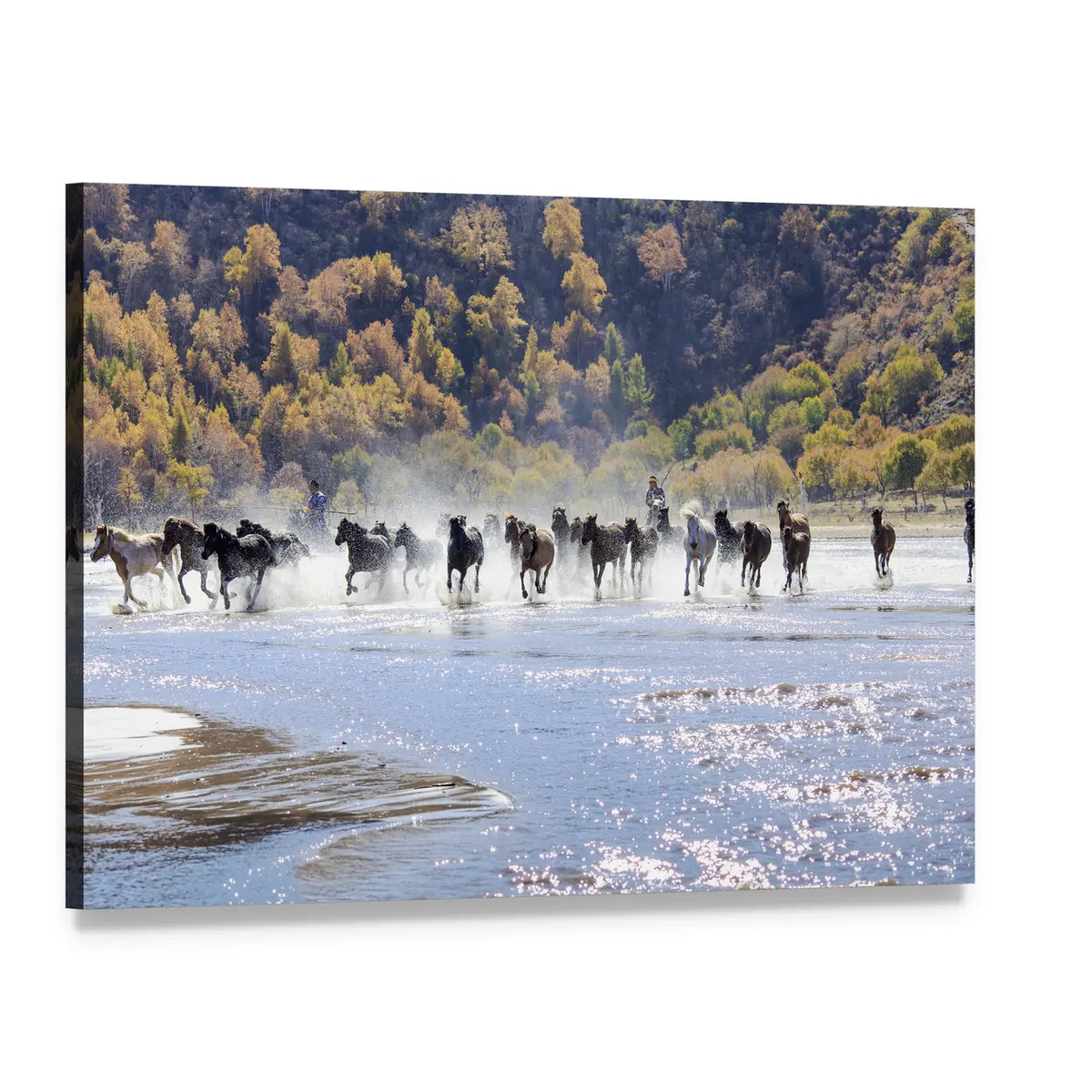Running Horses in Mongolia Canvas Wall Art, single panel gallery wrapped canvas, angled product view