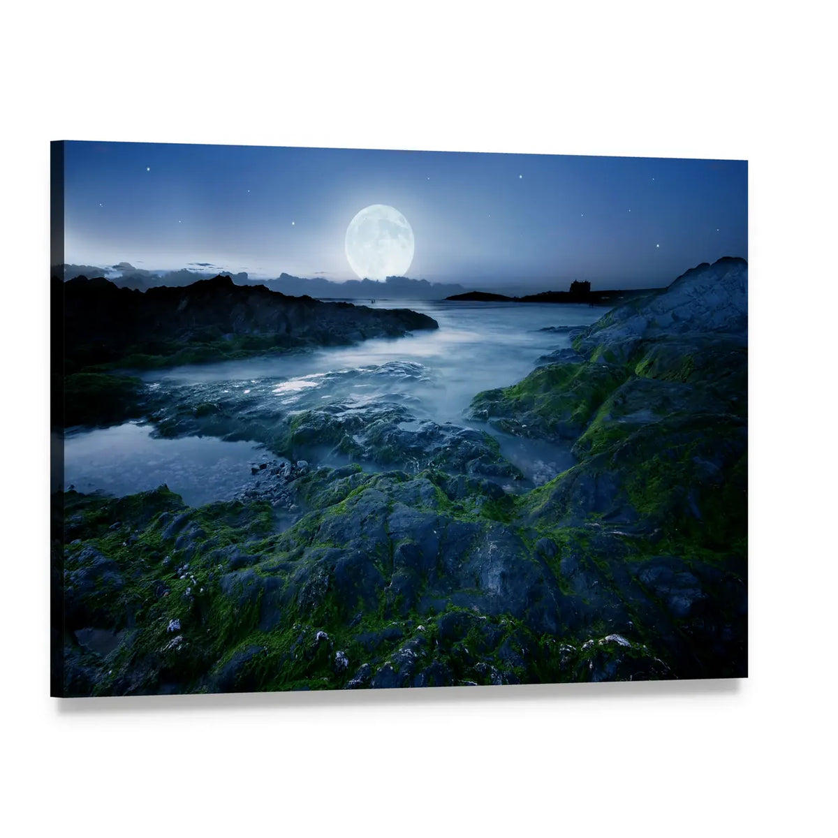 Full Moon Over Mossy Coastline Canvas Wall Art, single panel gallery wrapped canvas, angled product view