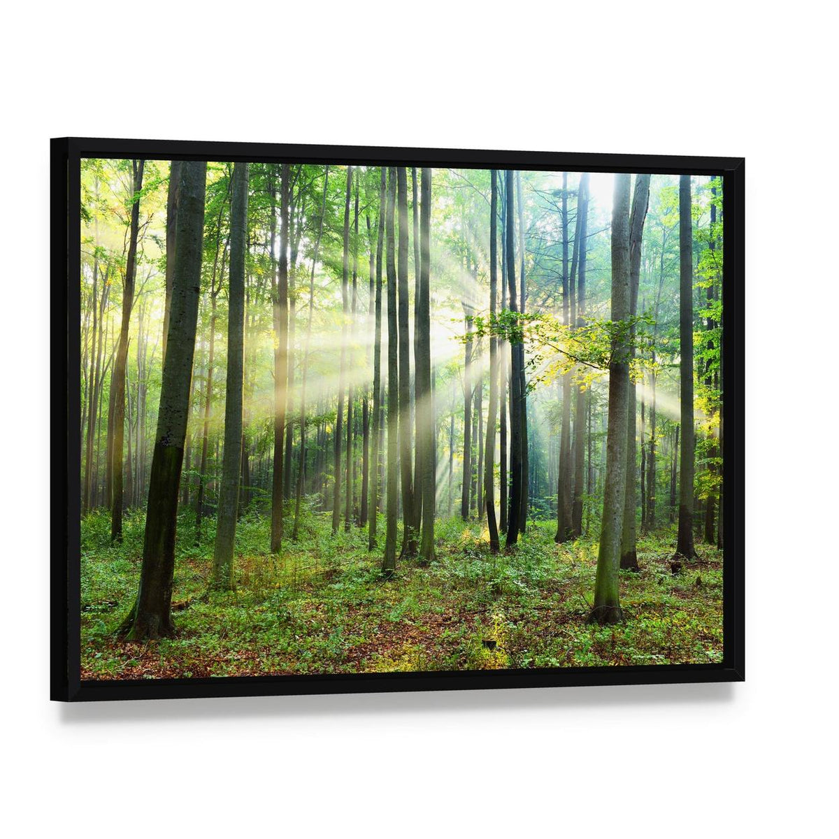 Morning Sunbeams in Forest Canvas Wall Art, framed canvas in a black floater frame, angled product view