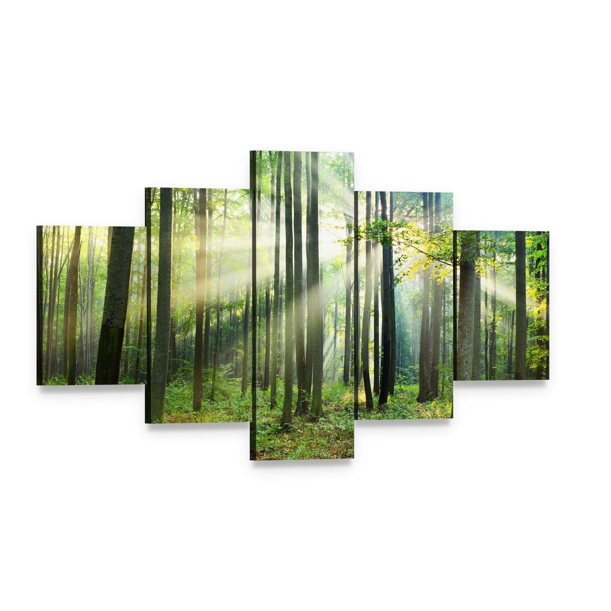 Morning Sunbeams in Forest Canvas Wall Art, 5 panel 5 Star layout gallery wrapped canvas set, angled product view