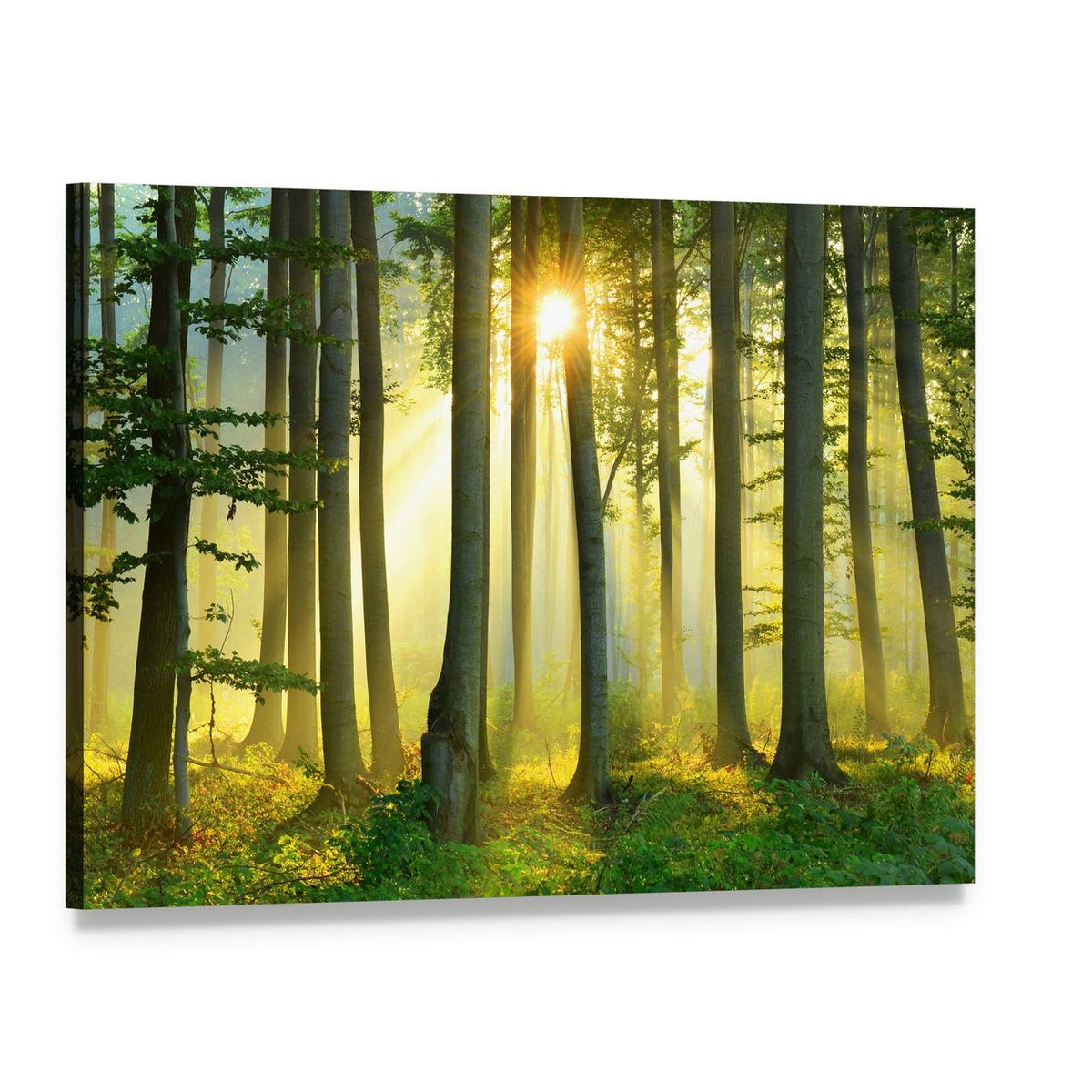 Misty Forest Morning Canvas Wall Art, single panel gallery wrapped canvas, angled product view