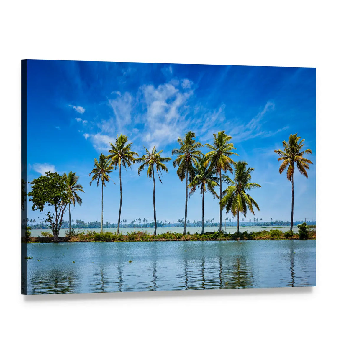 Kerala Backwaters with Palm Trees Canvas Wall Art, single panel gallery wrapped canvas, angled product view