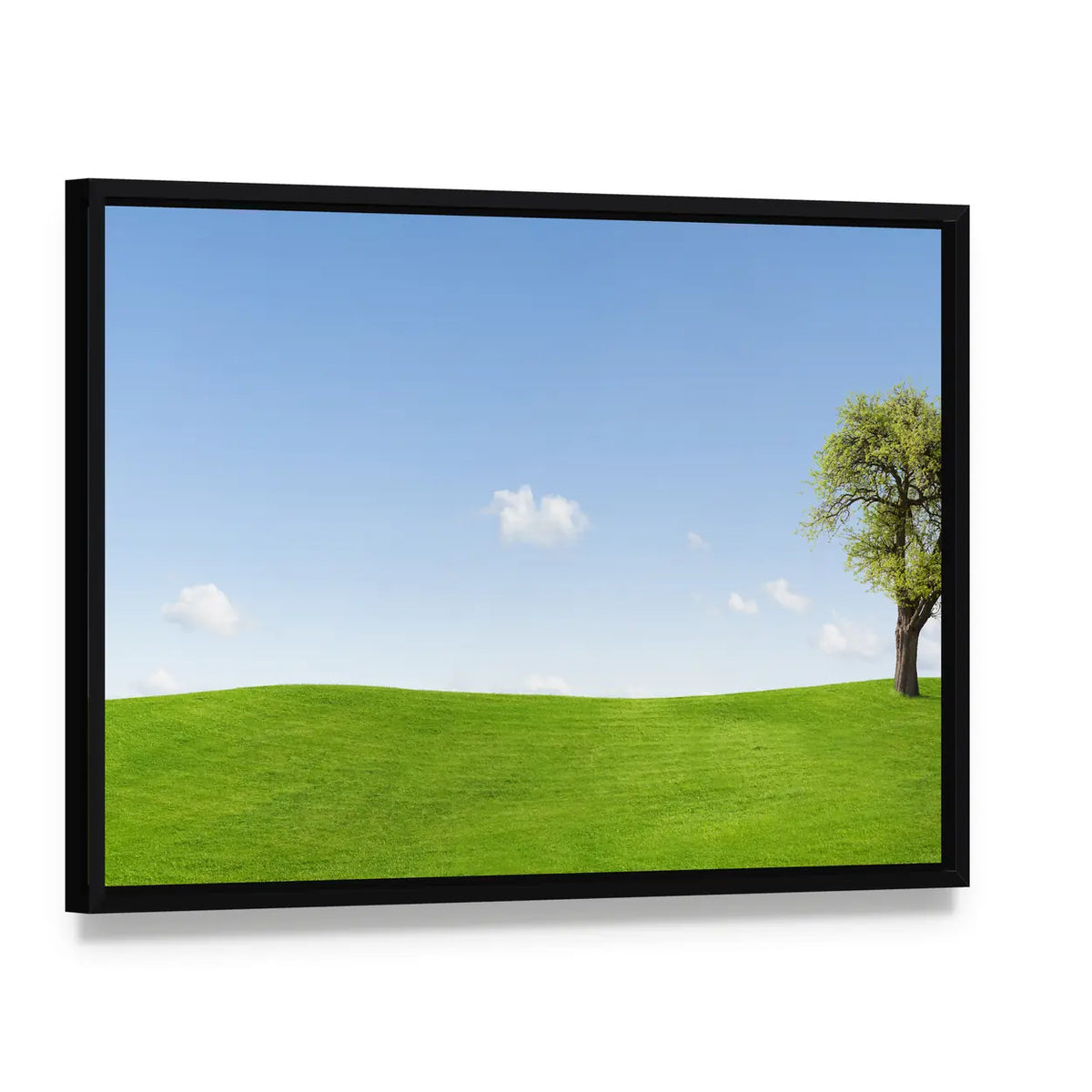 Solitary Tree on Sunny Green Hill Canvas Wall Art, framed canvas in a black floater frame, angled product view