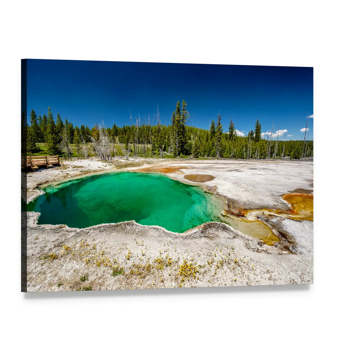 Emerald Hot Spring Pool Canvas Wall Art, single panel gallery wrapped canvas, angled product view