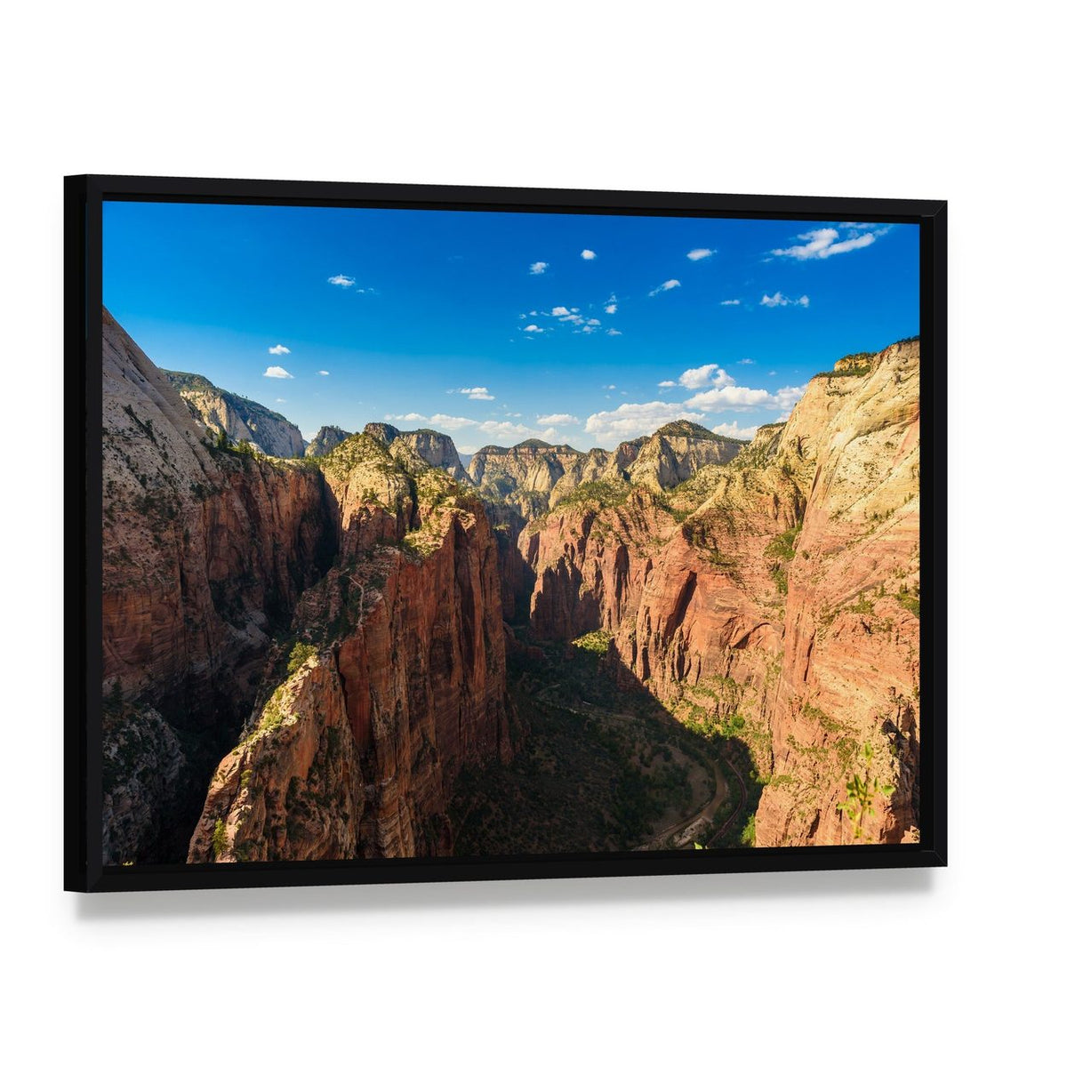 Ridge Walk in Zion National Park Canvas Wall Art, framed canvas in a black floater frame, angled product view