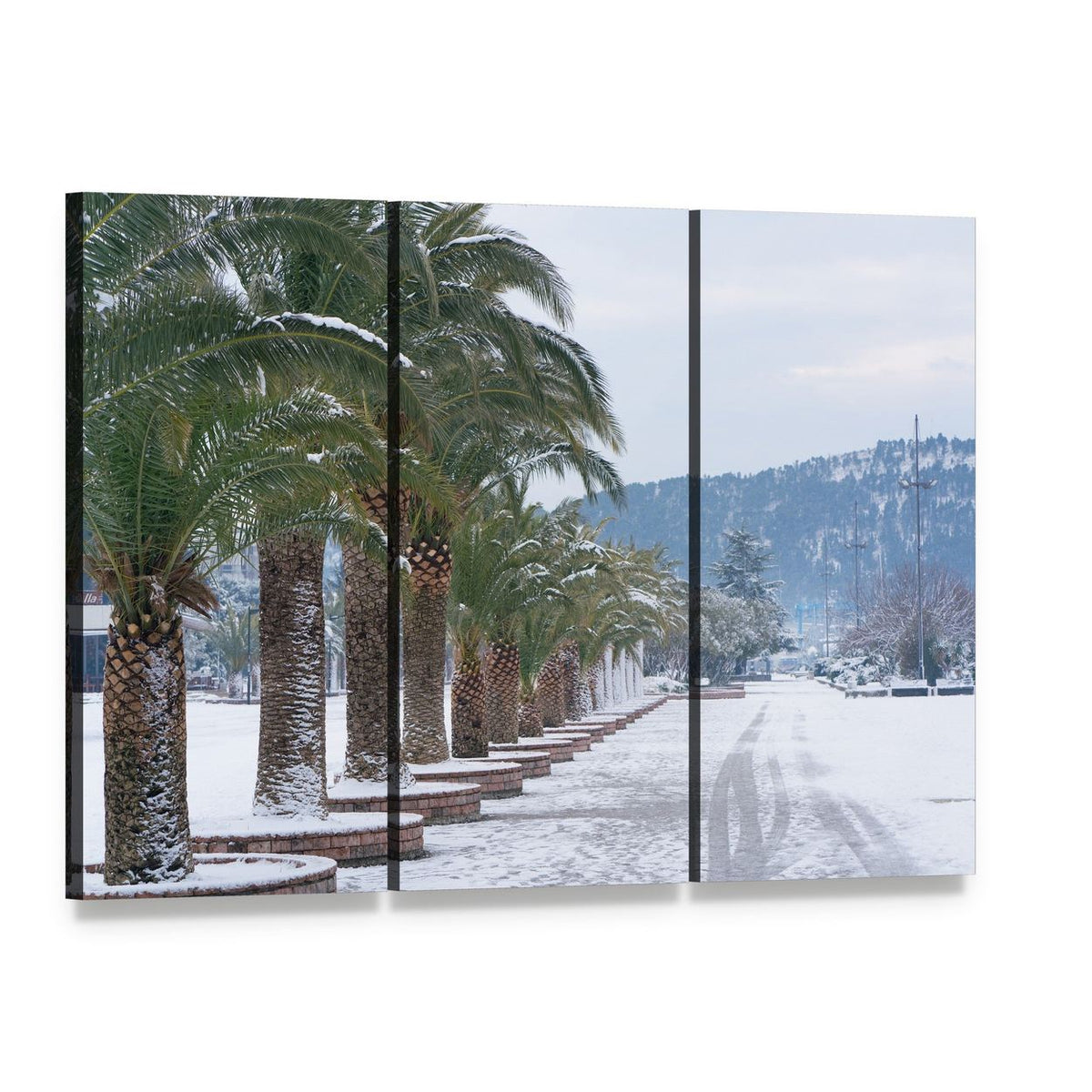 Snow-covered Palm Trees Canvas Wall Art, 3 panel 3 Horizontal layout gallery wrapped canvas set, angled product view