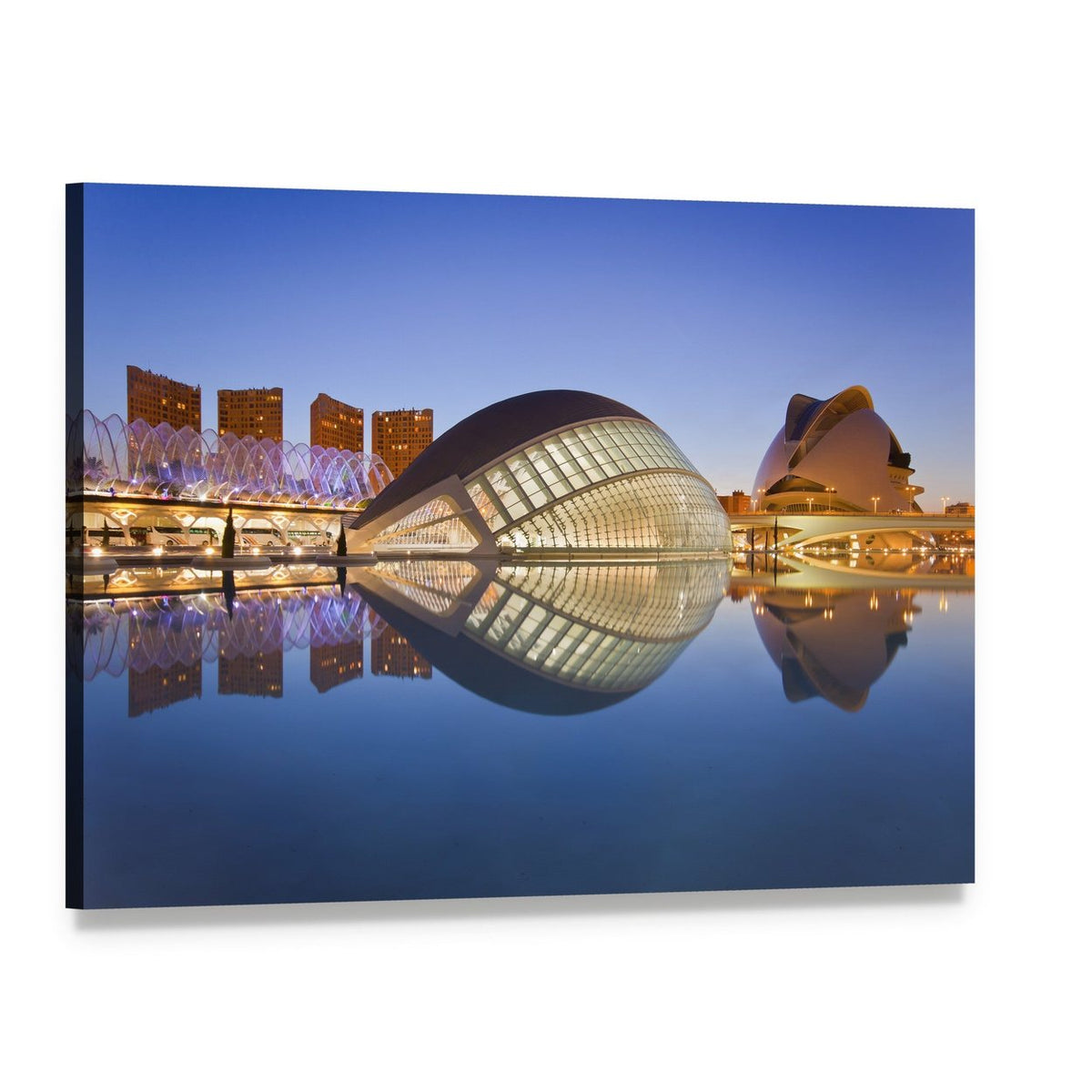 Valencia City of Arts and Sciences at Night Canvas Wall Art, single panel gallery wrapped canvas, angled product view