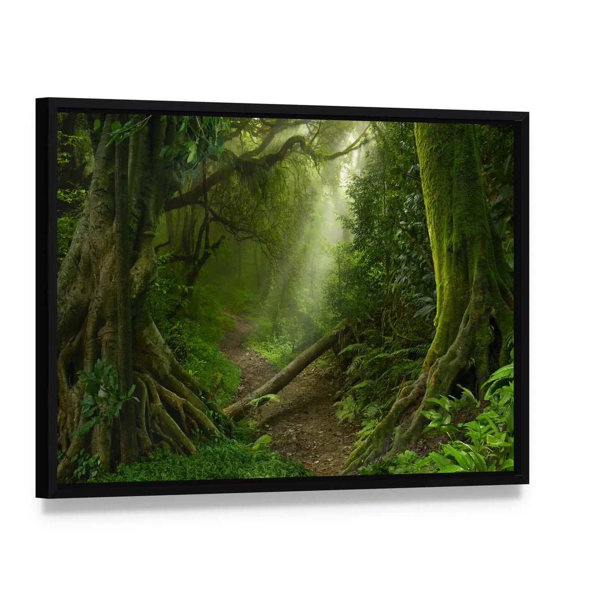Asian Rain Forest With Sun Rays Canvas Wall Art, framed canvas in a black floater frame, angled product view