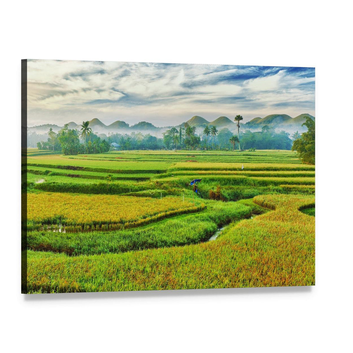 Paddy Rice Terraces in Morning Mist Canvas Wall Art, single panel gallery wrapped canvas, angled product view