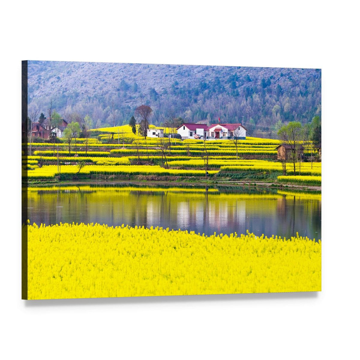 Rural Spring Scenery Canvas Wall Art, single panel gallery wrapped canvas, angled product view