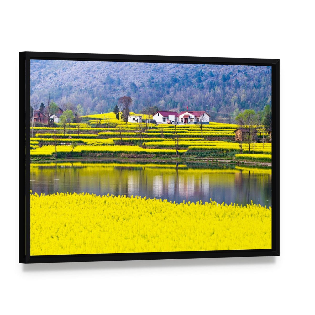 Rural Spring Scenery Canvas Wall Art, framed canvas in a black floater frame, angled product view