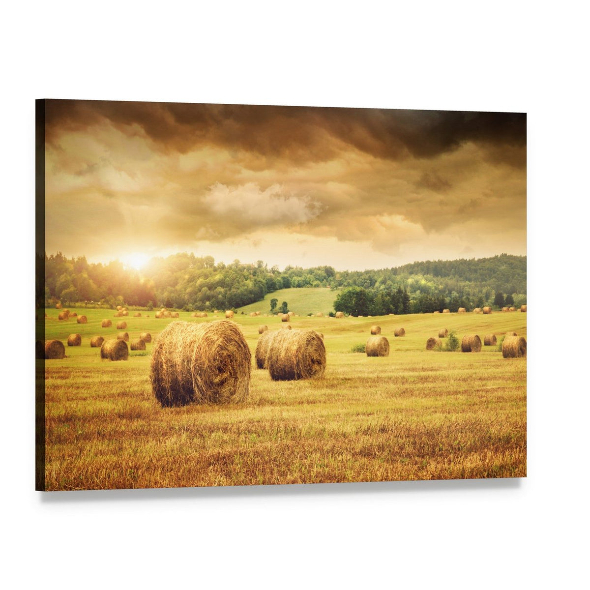 Cut Bales of Hay Canvas Wall Art, single panel gallery wrapped canvas, angled product view