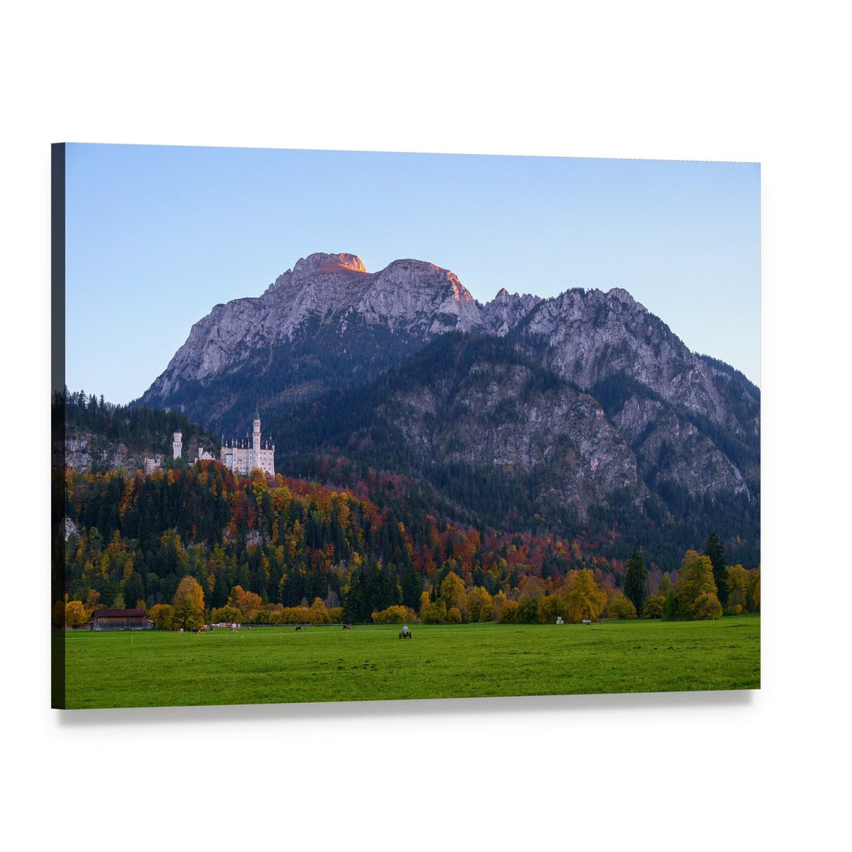 Neuschwanstein Castle in Autumn Light Canvas Wall Art, single panel gallery wrapped canvas, angled product view