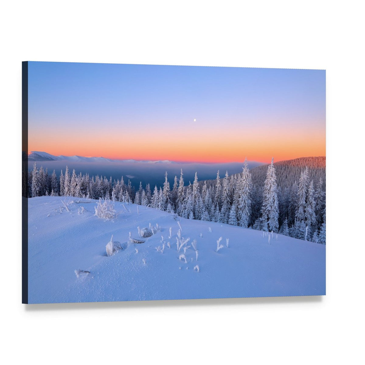 Snow-covered Trees at Sunset Canvas Wall Art, single panel gallery wrapped canvas, angled product view