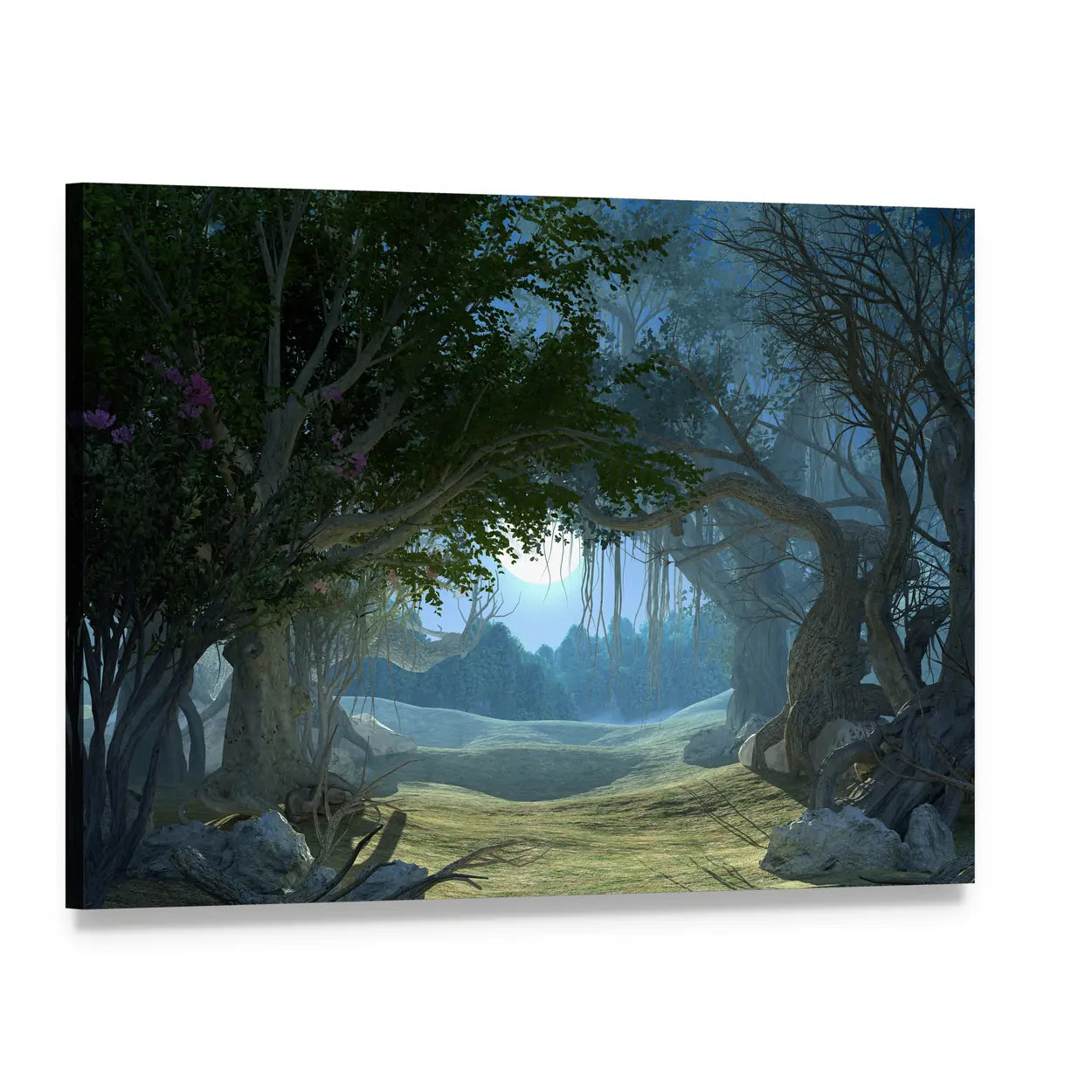 Enchanted Dark Forest Canvas Wall Art, single panel gallery wrapped canvas, angled product view
