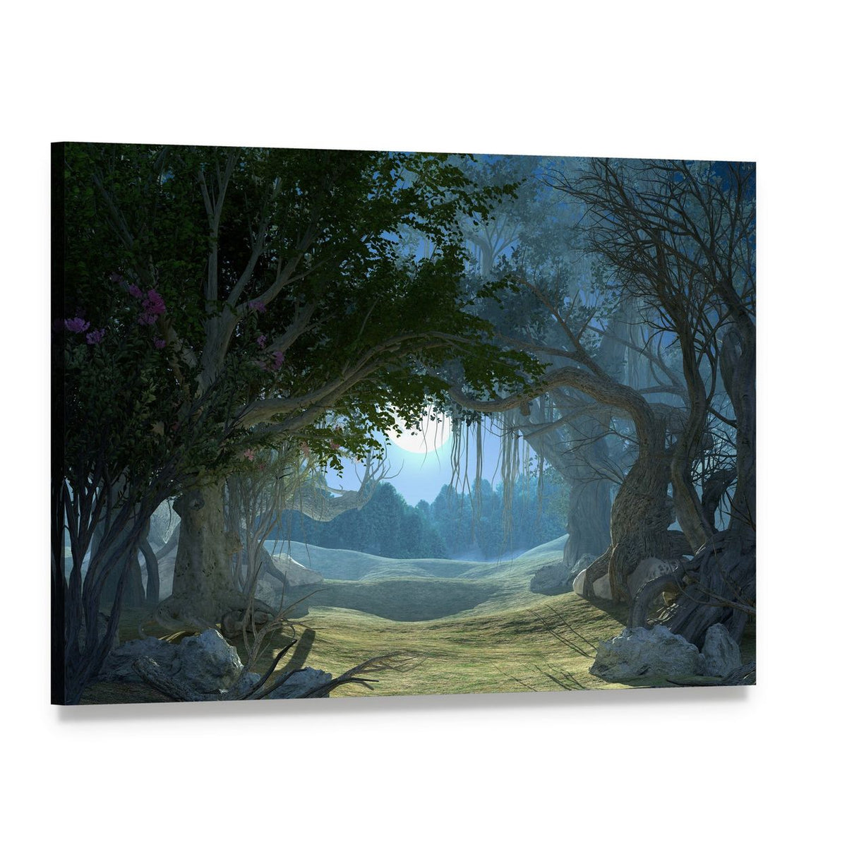 Enchanted Dark Forest Canvas Wall Art, single panel gallery wrapped canvas, angled product view