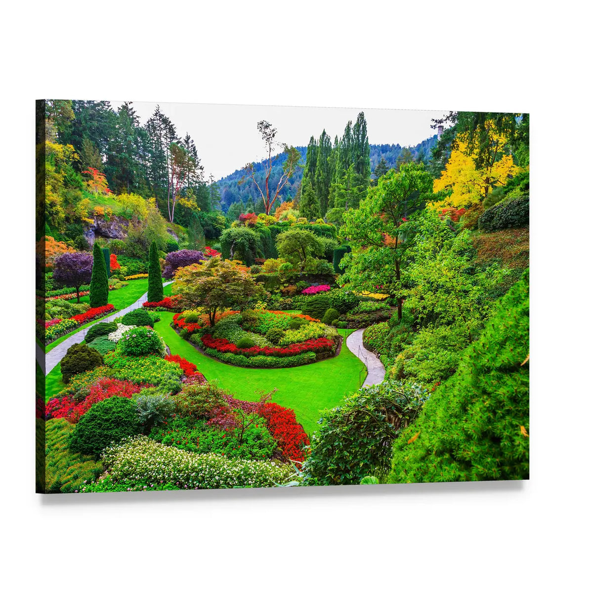 Vancouver Island Garden with Winding Path Canvas Wall Art, single panel gallery wrapped canvas, angled product view
