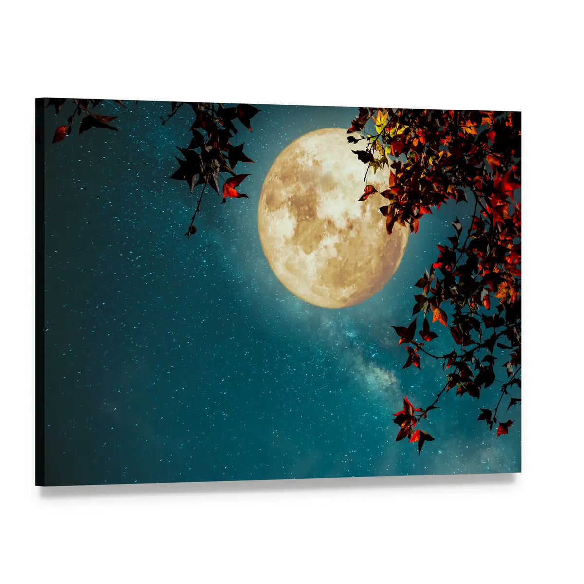 Maple Tree Under Full Moon with Milky Way Canvas Wall Art, single panel gallery wrapped canvas, angled product view