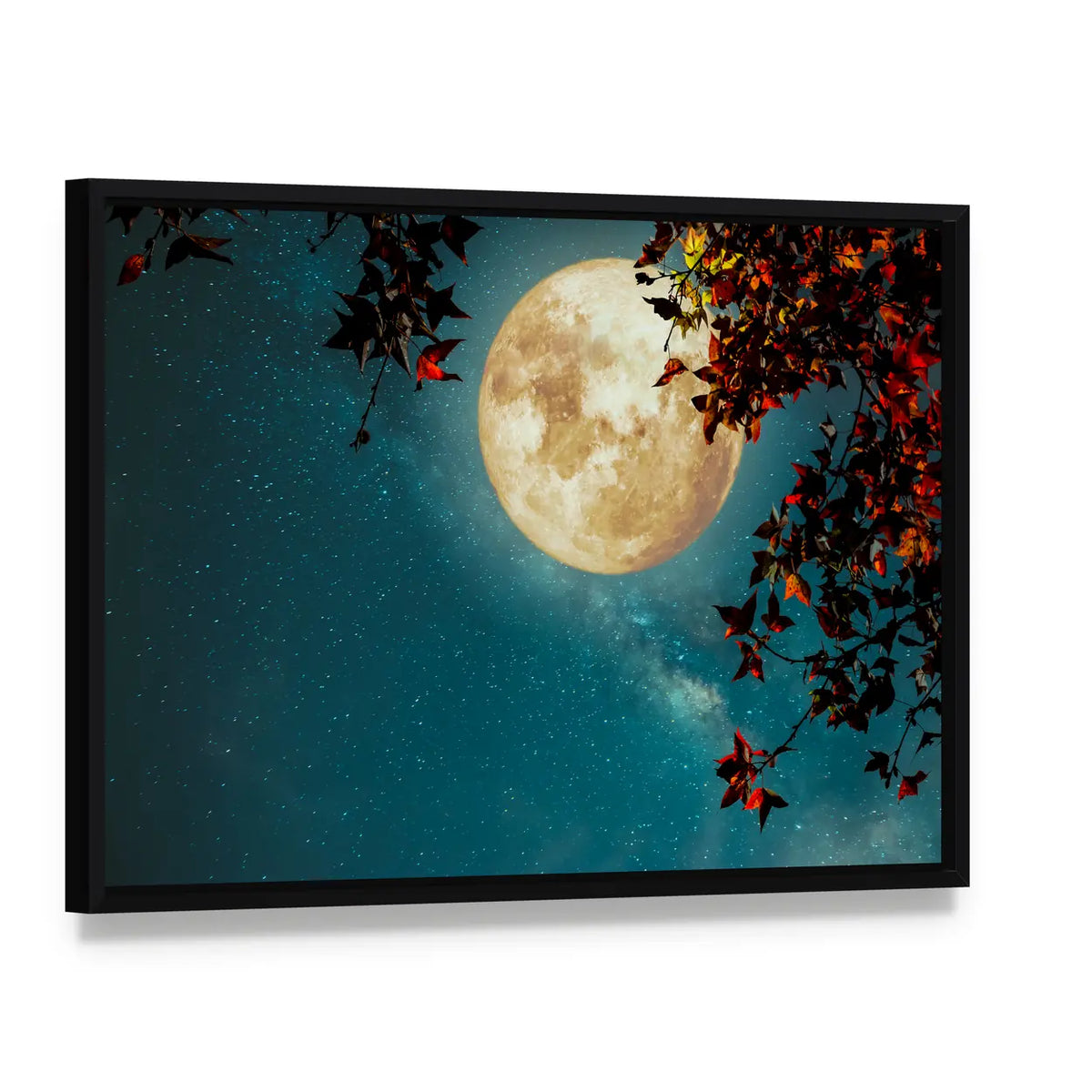 Maple Tree Under Full Moon with Milky Way Canvas Wall Art, framed canvas in a black floater frame, angled product view