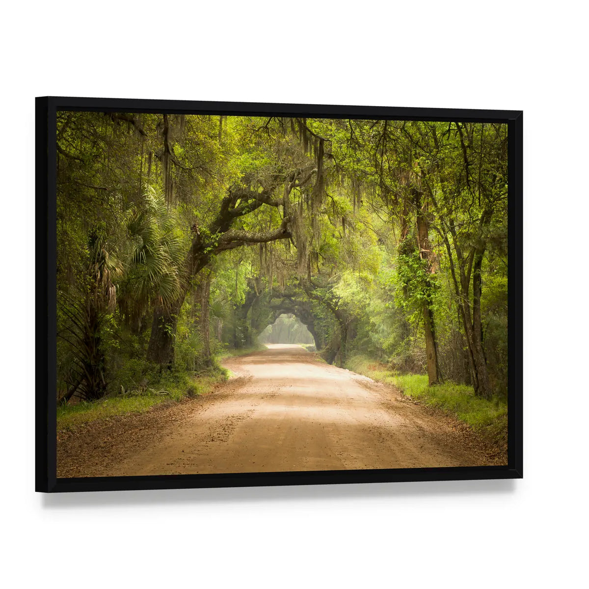 Edisto Island Spanish Moss Forest Canvas Wall Art, framed canvas in a black floater frame, angled product view