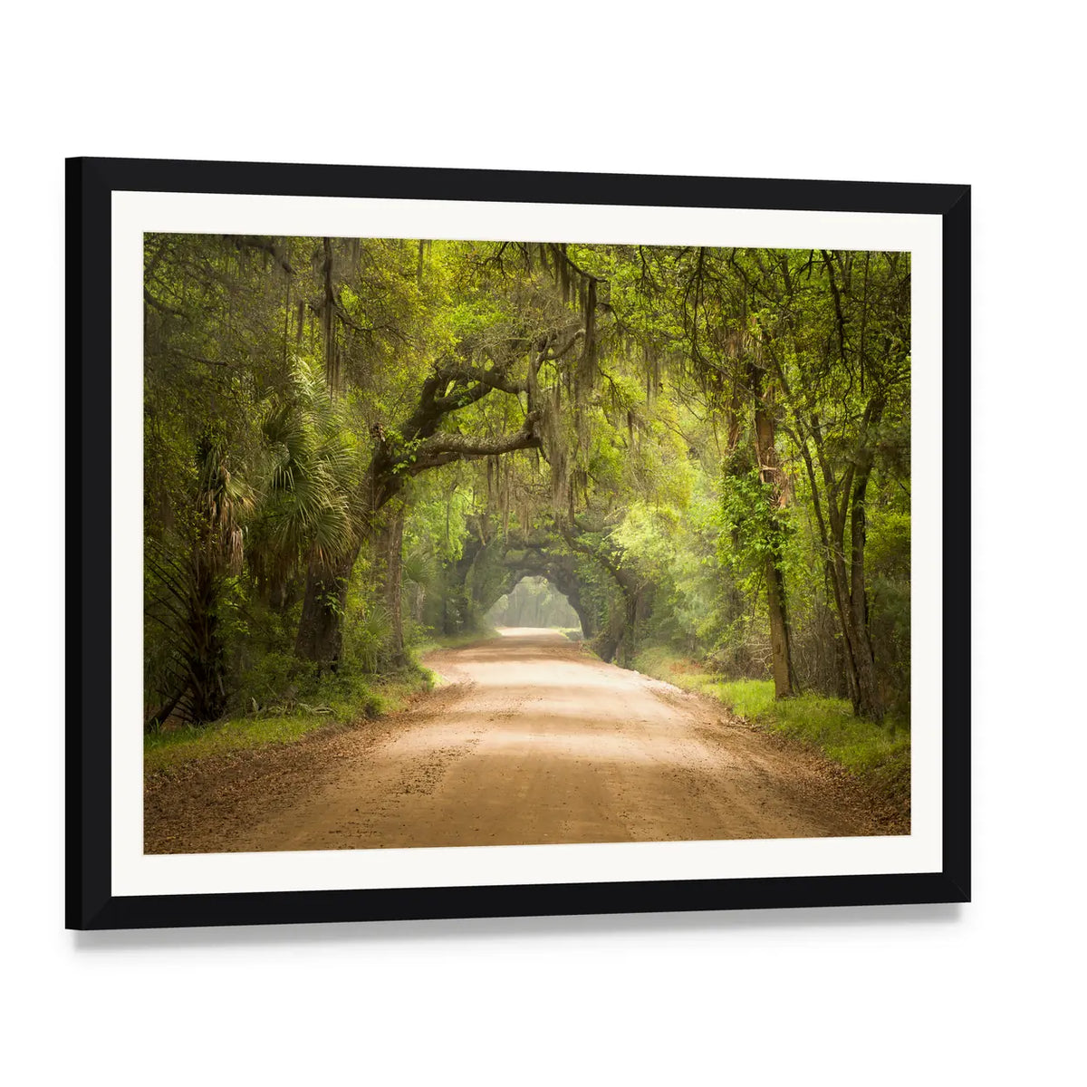 Edisto Island Spanish Moss Forest Canvas Wall Art, framed print with white mat and black frame, angled product view