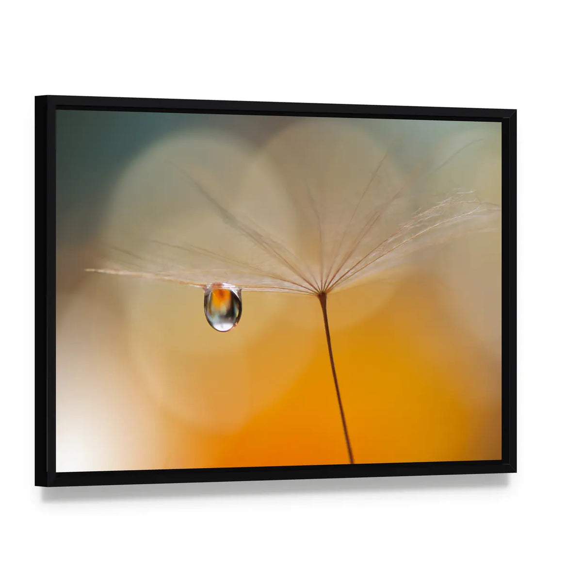 Dandelion Seed with Water Droplet Canvas Wall Art, framed canvas in a black floater frame, angled product view