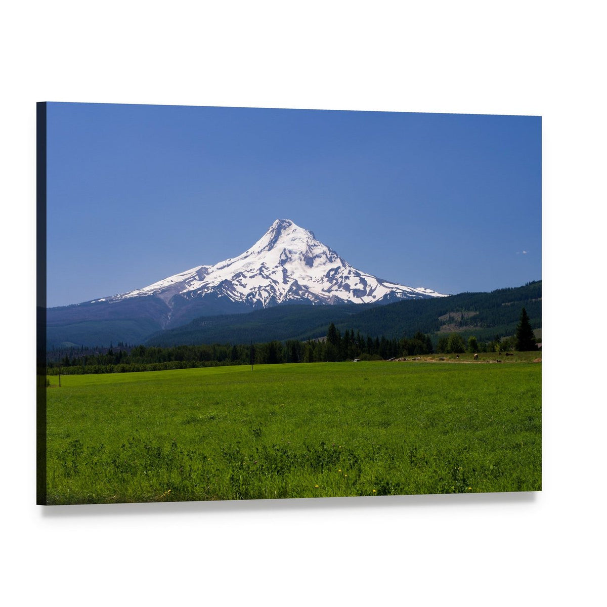 Pasture with View of Mt Hood Canvas Wall Art, single panel gallery wrapped canvas, angled product view