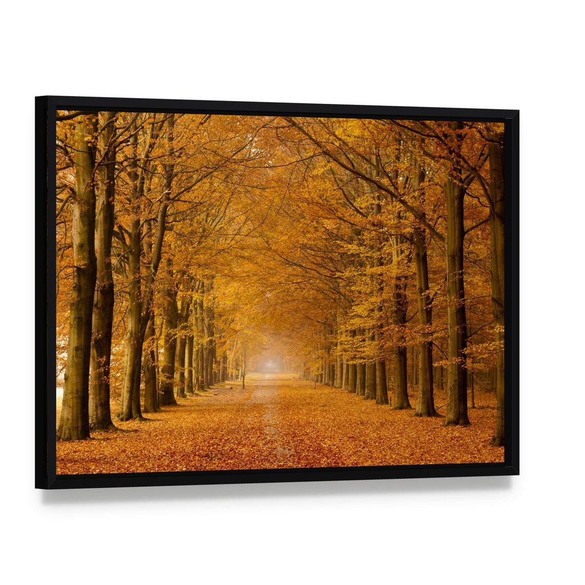 Trees Alongside Road in Autumn Canvas Wall Art, framed canvas in a black floater frame, angled product view