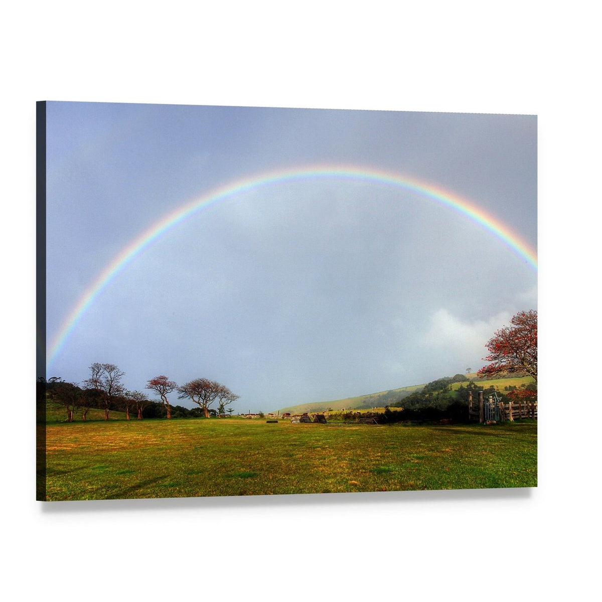 Rainbow Over a Farm Field Canvas Wall Art, single panel gallery wrapped canvas, angled product view