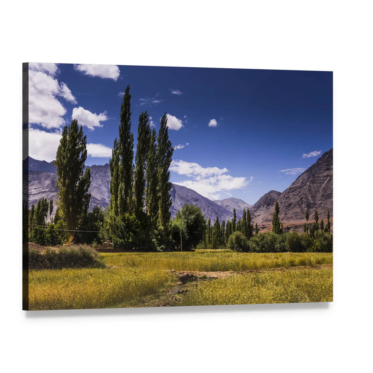 Road Along Poplar Fields in Leh Ladakh Canvas Wall Art, single panel gallery wrapped canvas, angled product view